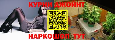 крисы Будённовск