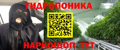 крисы Будённовск