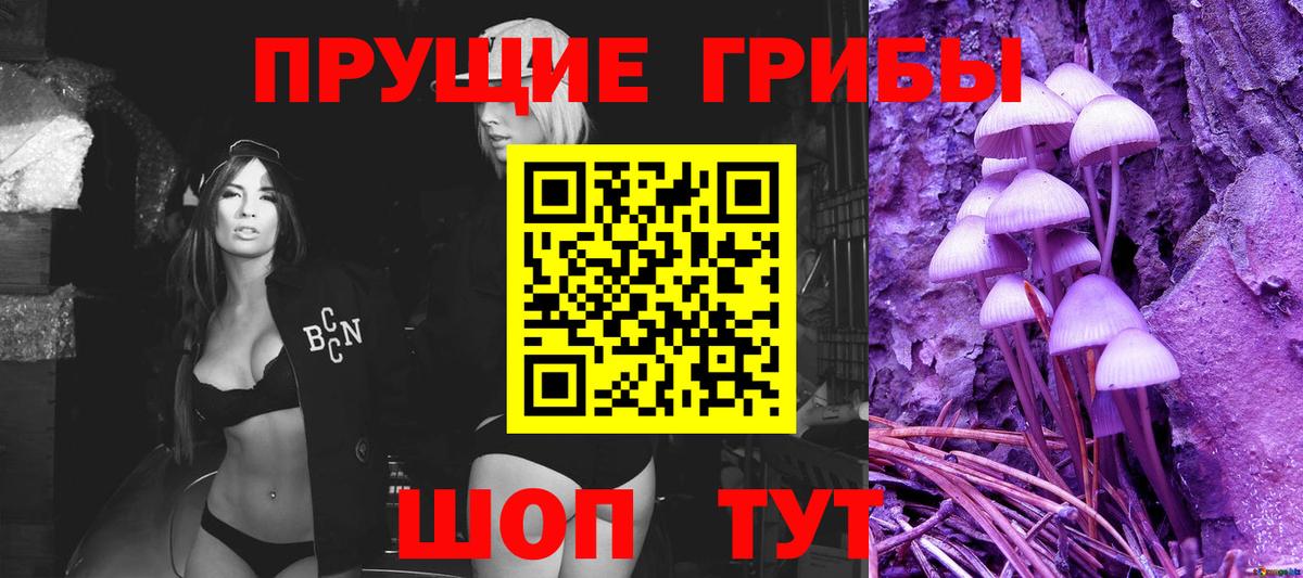 Галлюциногенные грибы GOLDEN TEACHER Моршанск
