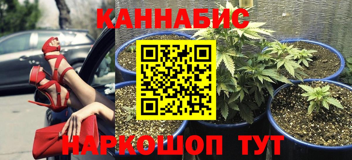 Моршанск  Шишки марихуана THC 21%  Канабис ГИДРОПОН  Вход с VPN  Марихуана марихуана 
